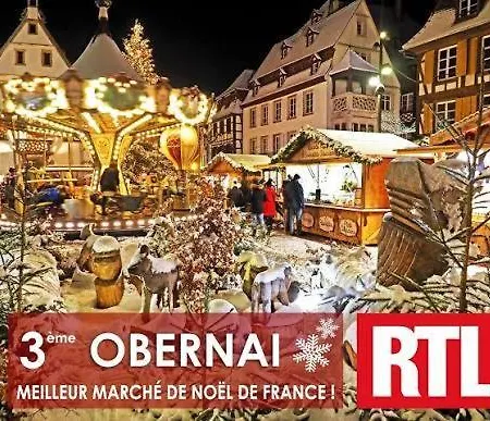 Fleuri Le Marronnier, Au Calme, Terrasse, Parking Et Clim , Entre Colmar-riquewihr Et Obernai