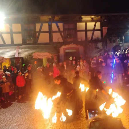 Le Marronnier, Clim, Terrasse, Parking & Prive, Calme, Entre Colmar-riquewihr Et Obernai, Route Des Vins D'alsace Châtenois