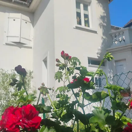 Le Marronnier, Clim, Terrasse, Parking & Prive, Calme, Entre Colmar-riquewihr Et Obernai, Route Des Vins D'alsace