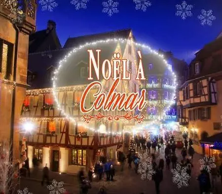 Gite Pres Des Marches De Noel Au Calme, Avec Son Parking, Ses Illuminations Et Sapins, Entre Les Marches De Noel De Colmar, Riquewihr 15 Minutes, Obernai, Strasbourg, Gite Le Marronnier Appartement *