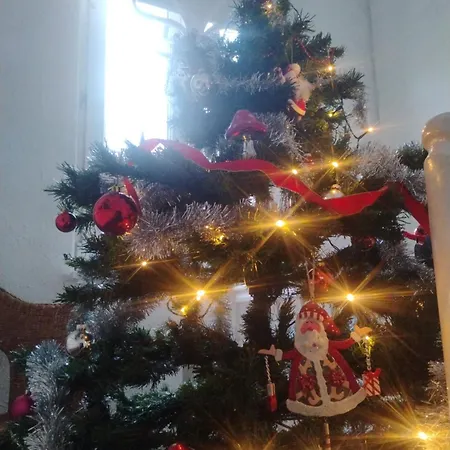 Appartement Gite Pres Des Marches De Noel Au Calme, Avec Son Parking, Ses Illuminations Et Sapins, Entre Les Marches De Noel De Colmar, Riquewihr 15 Minutes, Obernai, Strasbourg, Gite Le Marronnier