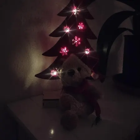Appartement Gite Pres Des Marches De Noel Au Calme, Avec Son Parking, Ses Illuminations Et Sapins, Entre Les Marches De Noel De Colmar, Riquewihr 15 Minutes, Obernai, Strasbourg, Gite Le Marronnier *