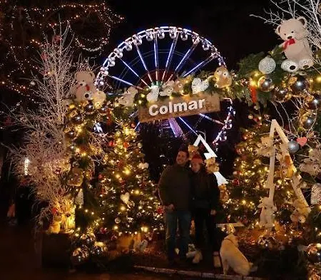 Appartement Gite Pres Des Marches De Noel Au Calme, Avec Son Parking, Ses Illuminations Et Sapins, Entre Les Marches De Noel De Colmar, Riquewihr 15 Minutes, Obernai, Strasbourg, Gite Le Marronnier