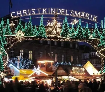 Gite Pres Des Marches De Noel Au Calme, Avec Son Parking, Ses Illuminations Et Sapins, Entre Les Marches De Noel De Colmar, Riquewihr 15 Minutes, Obernai, Strasbourg, Gite Le Marronnier *