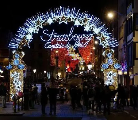 Appartement Gite Pres Des Marches De Noel Au Calme, Avec Son Parking, Ses Illuminations Et Sapins, Entre Les Marches De Noel De Colmar, Riquewihr 15 Minutes, Obernai, Strasbourg, Gite Le Marronnier