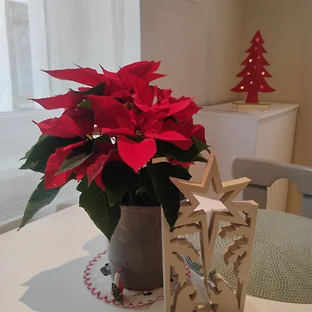 Appartement Gite Pres Des Marches De Noel Au Calme, Avec Son Parking, Ses Illuminations Et Sapins, Entre Les Marches De Noel De Colmar, Riquewihr 15 Minutes, Obernai, Strasbourg, Gite Le Marronnier Châtenois
