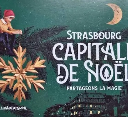 Gite Pres Des Marches De Noel Au Calme, Avec Son Parking, Ses Illuminations Et Sapins, Entre Les Marches De Noel De Colmar, Riquewihr 15 Minutes, Obernai, Strasbourg, Gite Le Marronnier Appartement