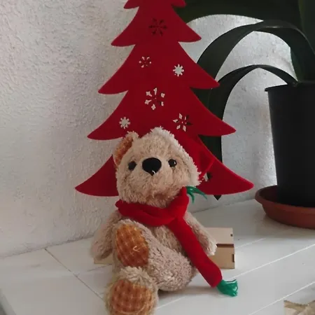 Gite Pres Des Marches De Noel Au Calme, Avec Son Parking, Ses Illuminations Et Sapins, Entre Les Marches De Noel De Colmar, Riquewihr 15 Minutes, Obernai, Strasbourg, Gite Le Marronnier Appartement *