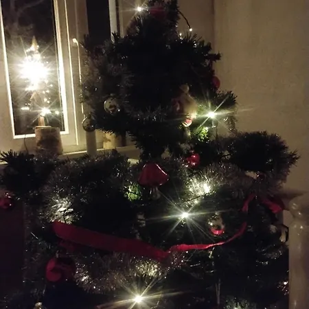 Appartement Gite Pres Des Marches De Noel Au Calme, Avec Son Parking, Ses Illuminations Et Sapins, Entre Les Marches De Noel De Colmar, Riquewihr 15 Minutes, Obernai, Strasbourg, Gite Le Marronnier Châtenois