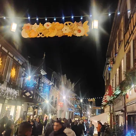 Gite Pres Des Marches De Noel Au Calme, Avec Son Parking, Ses Illuminations Et Sapins, Entre Les Marches De Noel De Colmar, Riquewihr 15 Minutes, Obernai, Strasbourg, Gite Le Marronnier Appartement