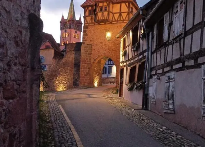 Le Marronnier, Parking Et Terrasse - Au Calme, Tous Commerces A 150m - Pres De Colmar - Route Des Vins A 100m, Vue Sur Espace Et Montagne Appartement *