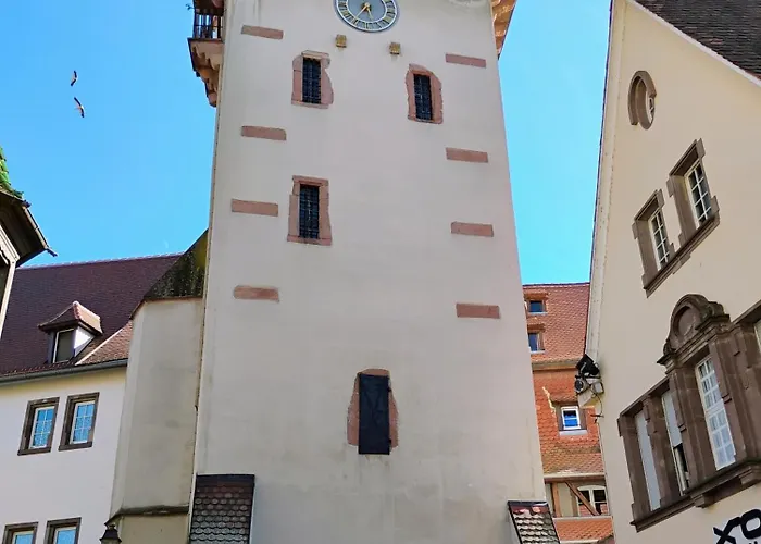 Appartement Le Marronnier, Parking Et Terrasse - Au Calme, Tous Commerces A 150m - Pres De Colmar - Route Des Vins A 100m, Vue Sur Espace Et Montagne Châtenois