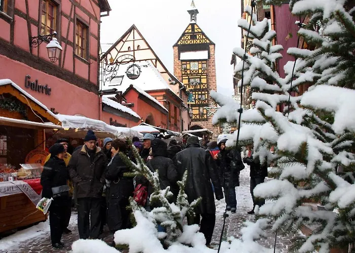 Apartamento Le Marronnier, Parking Et Terrasse Au Calme, Entre Colmar-riquewihr Et Obernai, Vue Sur Espaces Verts Et Coteaux D Alsace, Route Du Vin-châteaux