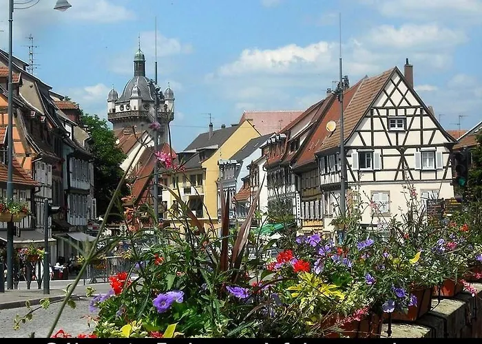 Appartement Le Marronnier, Parking Et Terrasse - Au Calme, Tous Commerces A 150m - Pres De Colmar - Route Des Vins A 100m, Vue Sur Espace Et Montagne Châtenois