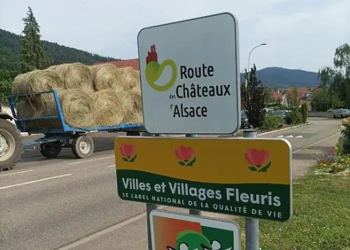 Apartamento Le Marronnier, Parking Et Terrasse Au Calme, Entre Colmar-riquewihr Et Obernai, Vue Sur Espaces Verts Et Coteaux D Alsace, Route Du Vin-châteaux