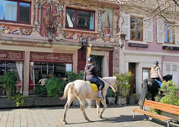 Le Marronnier, Parking Et Terrasse - Au Calme, Tous Commerces A 150m - Pres De Colmar - Route Des Vins A 100m, Vue Sur Espace Et Montagne * Châtenois