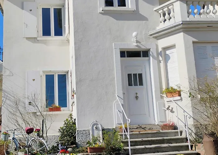 Le Marronnier, Parking Et Terrasse - Au Calme, Tous Commerces A 150m - Pres De Colmar - Route Des Vins A 100m, Vue Sur Espace Et Montagne Appartement *