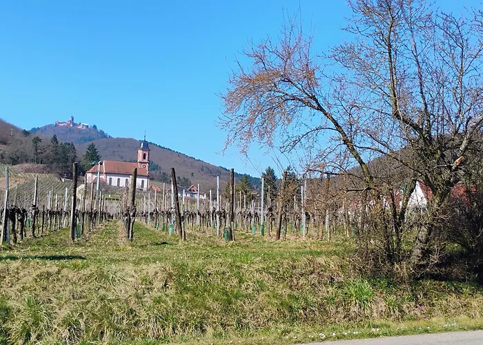 Le Marronnier, Parking Et Terrasse - Au Calme, Tous Commerces A 150m - Pres De Colmar - Route Des Vins A 100m, Vue Sur Espace Et Montagne * Châtenois