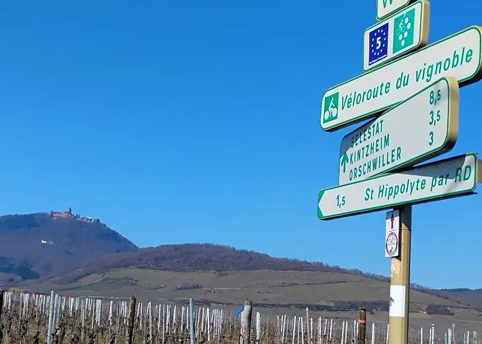 Le Marronnier, Parking Et Terrasse Au Calme, Entre Colmar-riquewihr Et Obernai, Vue Sur Espaces Verts Et Coteaux D Alsace, Route Du Vin-châteaux Apartamento Châtenois
