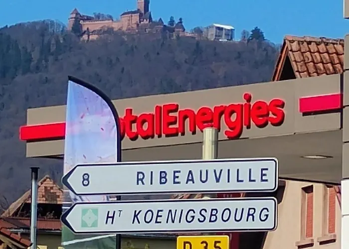Le Marronnier, Parking Et Terrasse - Au Calme, Tous Commerces A 150m - Pres De Colmar - Route Des Vins A 100m, Vue Sur Espace Et Montagne Appartement Châtenois