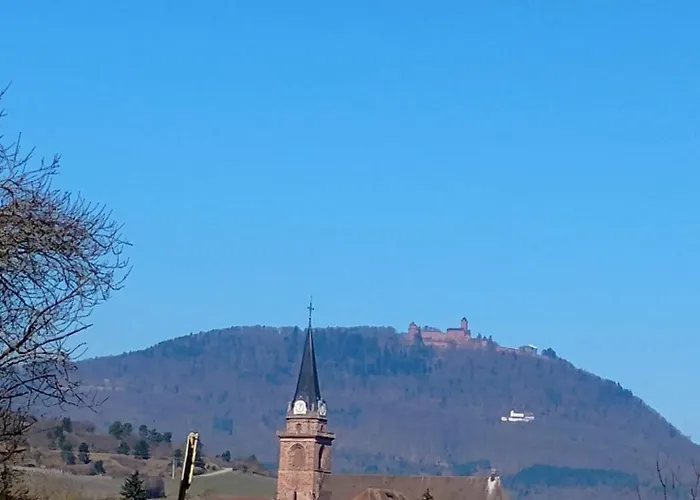 Apartamento Le Marronnier, Parking Et Terrasse Au Calme, Entre Colmar-riquewihr Et Obernai, Vue Sur Espaces Verts Et Coteaux D Alsace, Route Du Vin-châteaux