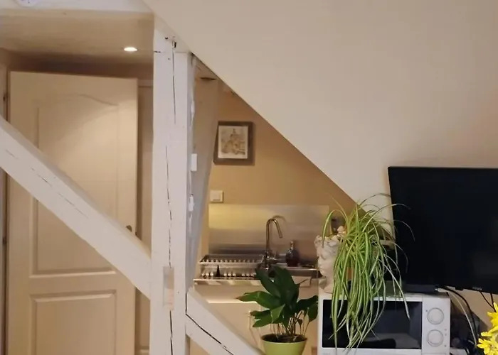 Appartement Le Marronnier, Parking Et Terrasse - Au Calme, Tous Commerces A 150m - Pres De Colmar - Route Des Vins A 100m, Vue Sur Espace Et Montagne Châtenois