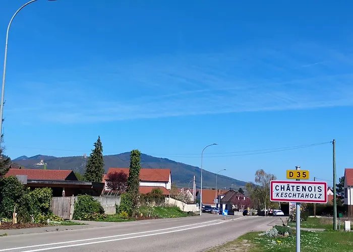 Appartement Le Marronnier, Parking Et Terrasse - Au Calme, Tous Commerces A 150m - Pres De Colmar - Route Des Vins A 100m, Vue Sur Espace Et Montagne Châtenois