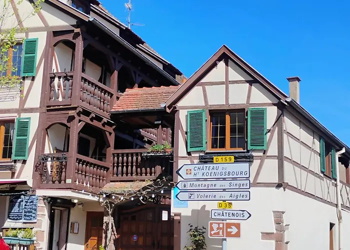 Appartement Le Marronnier, Parking Et Terrasse - Au Calme, Tous Commerces A 150m - Pres De Colmar - Route Des Vins A 100m, Vue Sur Espace Et Montagne