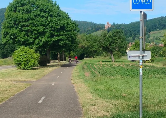 Le Marronnier, Parking Et Terrasse Au Calme, Entre Colmar-riquewihr Et Obernai, Vue Sur Espaces Verts Et Coteaux D Alsace, Route Du Vin-châteaux Apartamento *