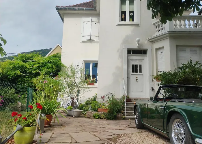 Le Marronnier, Parking Et Terrasse Au Calme, Entre Colmar-riquewihr Et Obernai, Vue Sur Espaces Verts Et Coteaux D Alsace, Route Du Vin-châteaux