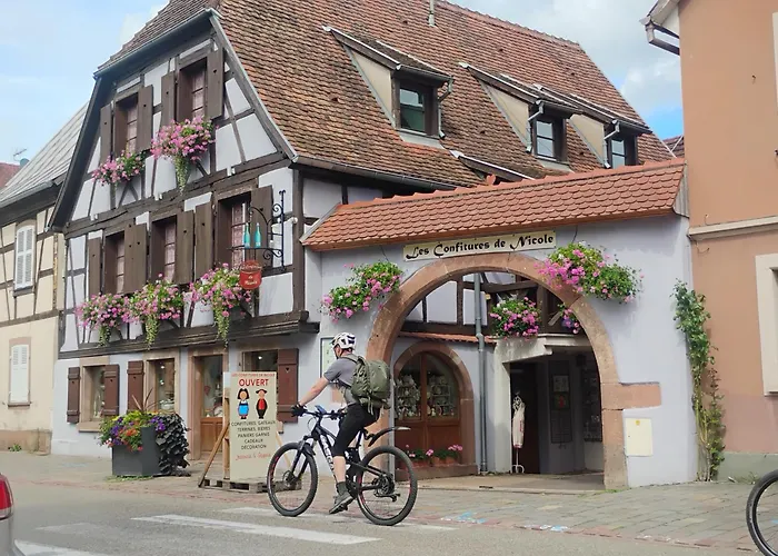 Appartement Le Marronnier, Parking Et Terrasse - Au Calme, Tous Commerces A 150m - Pres De Colmar - Route Des Vins A 100m, Vue Sur Espace Et Montagne
