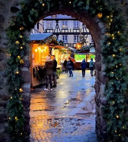 Le Marronnier, Parking Et Terrasse Au Calme, Entre Colmar-riquewihr Et Obernai, Vue Sur Espaces Verts Et Coteaux D Alsace, Route Du Vin-châteaux Apartamento *