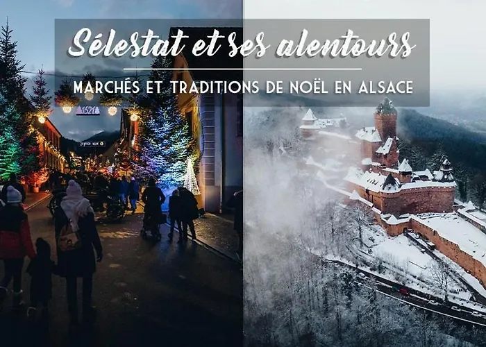 Appartement Le Marronnier, Parking Et Terrasse - Au Calme, Tous Commerces A 150m - Pres De Colmar - Route Des Vins A 100m, Vue Sur Espace Et Montagne *